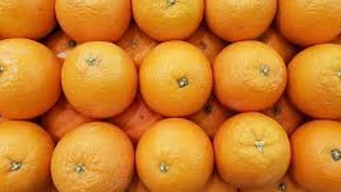 Orange Fruit