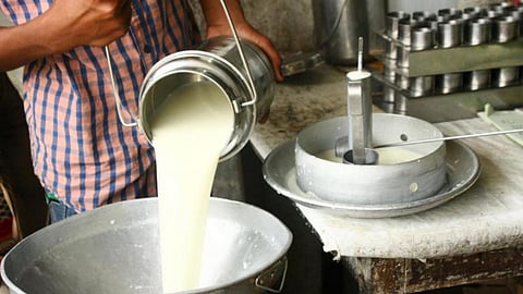 Dairy