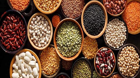 Pulses Export