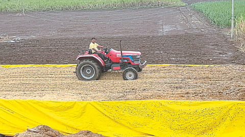 Silage