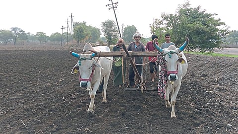 Kharif Sowing