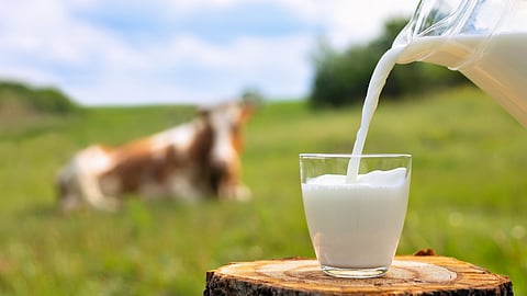 World Milk Day