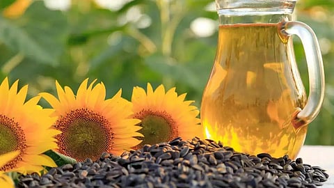 Oil Seed