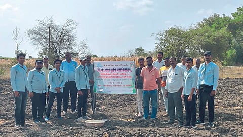 Soil Test