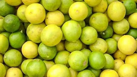 Lemon
