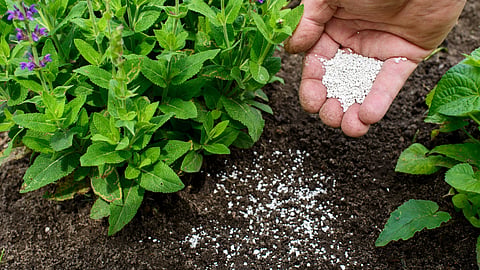 Bogus Fertilizer
