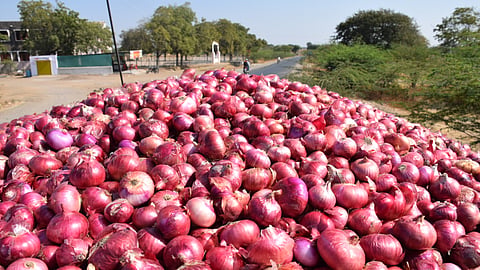 Onion