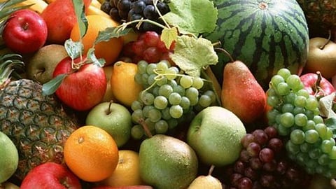 Fruits, Vegetables Processing