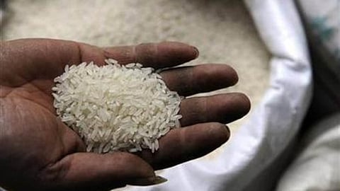 Rice Export