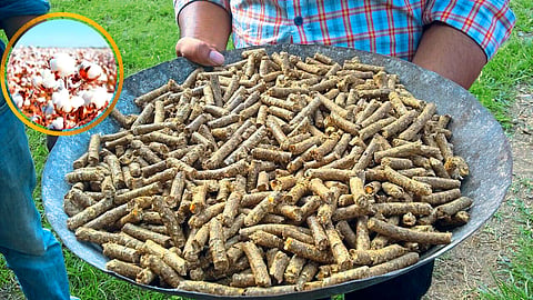 Cotton