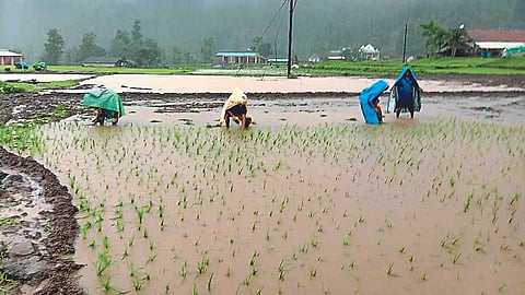 Rain Update