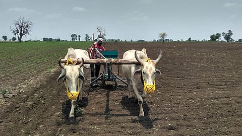 Maharashtra Farmers