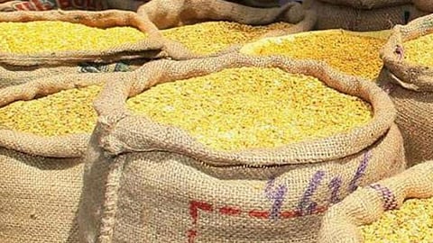 Future Market