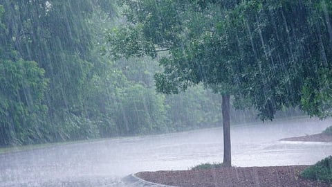 Heavy Rains