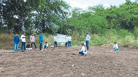 Mosmbi Farming