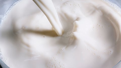 milk