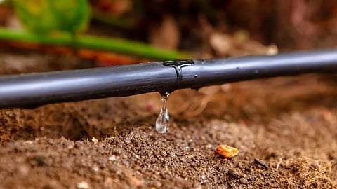 Drip Irrigation