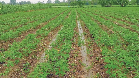 Water Management
