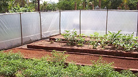 Fair Greenhouse
