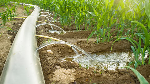 Irrigation