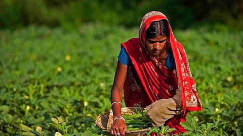 Agriculture Employment