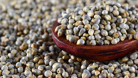 Millet