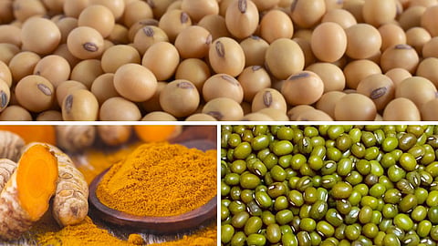 Soybean