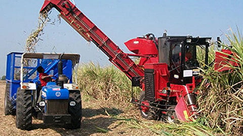 Sugarcane FRP