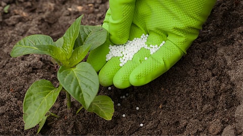 Fertilizer