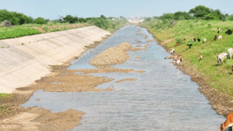 Water Irrigation