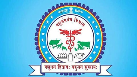 Animal Husbandry