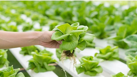Agriculture Technology