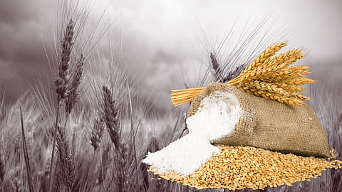 Wheat