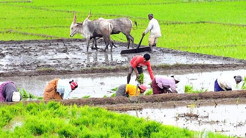 Kharif Sowing