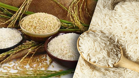 Rice Procurement