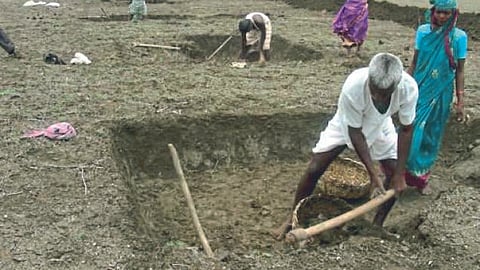 Rural development