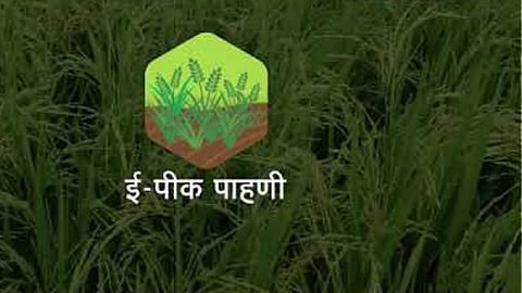 E Peek Pahani