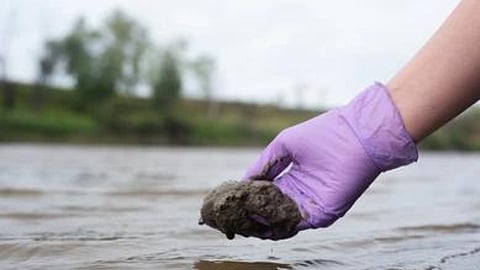 Ricer Silt