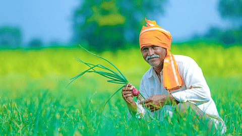 Agriculture Crdit