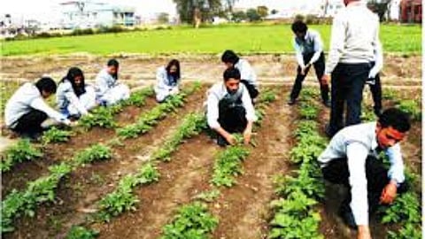Agriculture Education