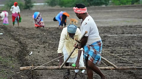 Rabi Sowing