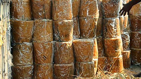 Jaggery Production