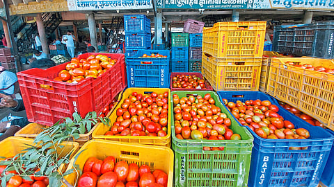Vegetable Market Rate