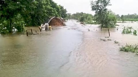 Rain Update