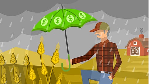 Crop Insurance