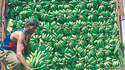 Banana Rate