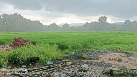 Rain Update