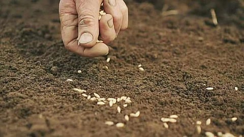 Crop Sowing