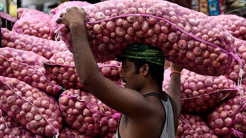 Onion Export