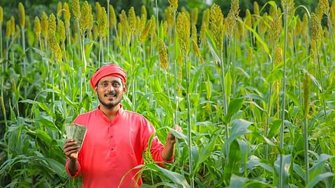 Farmer Subsidy
